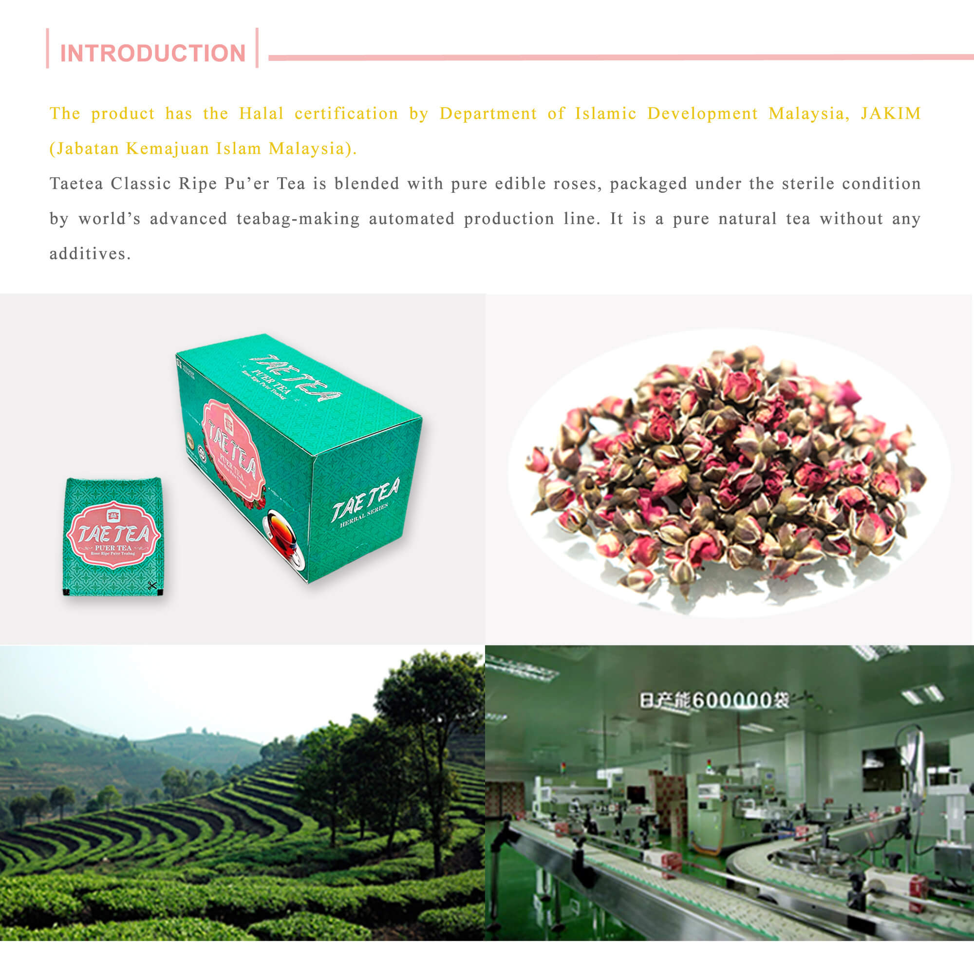 Rose Ripe Pu Er Teabag Taetea Mall Malaysia 大益茶 马来西亚 官方网购平台